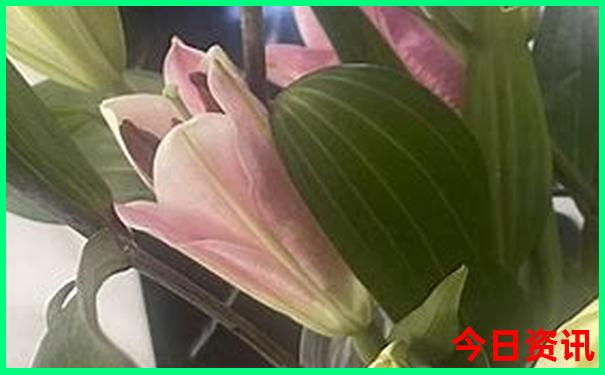 暑假5日游适合去哪里
